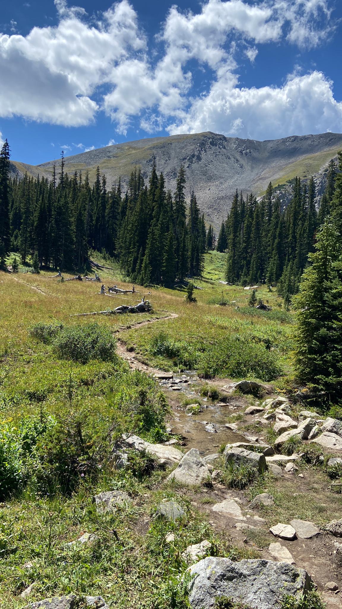 A trail Adela walked.